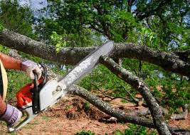 Lawn Irrigation Installation and Maintenance in Ten Mile Creek, MD